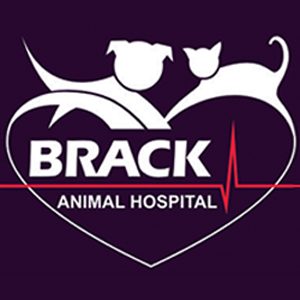 Brack Animal Hospital - Logo