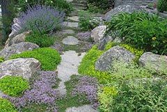 Brackenrig Landscaping - Logo