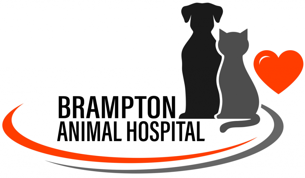 Brampton Animal Hospital - Logo