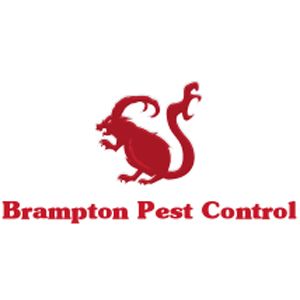 Brampton Pest Control - Logo