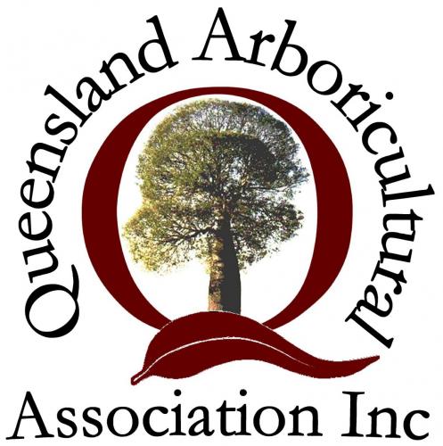 Branch Creek Tree Services - Logo