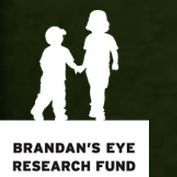 Brandan&s;s Eye Research Fund - Logo