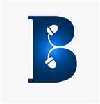 Brandingnuts - Logo