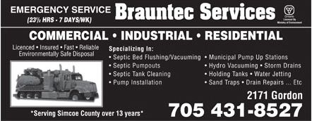 Brauntec Service - Logo