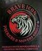 Brave Icon Packers And Movers - Logo