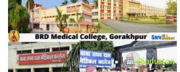 BRD College - Courses - Logo