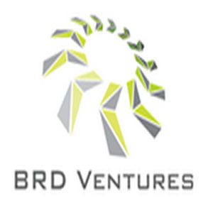 BRD Ventures - Logo