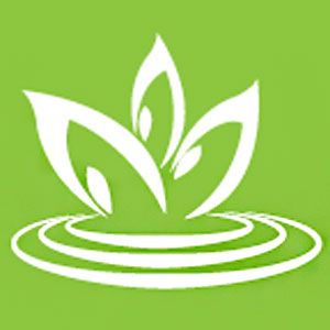 Brenda Thompson at Amenity Counselling and Consulting - Logo