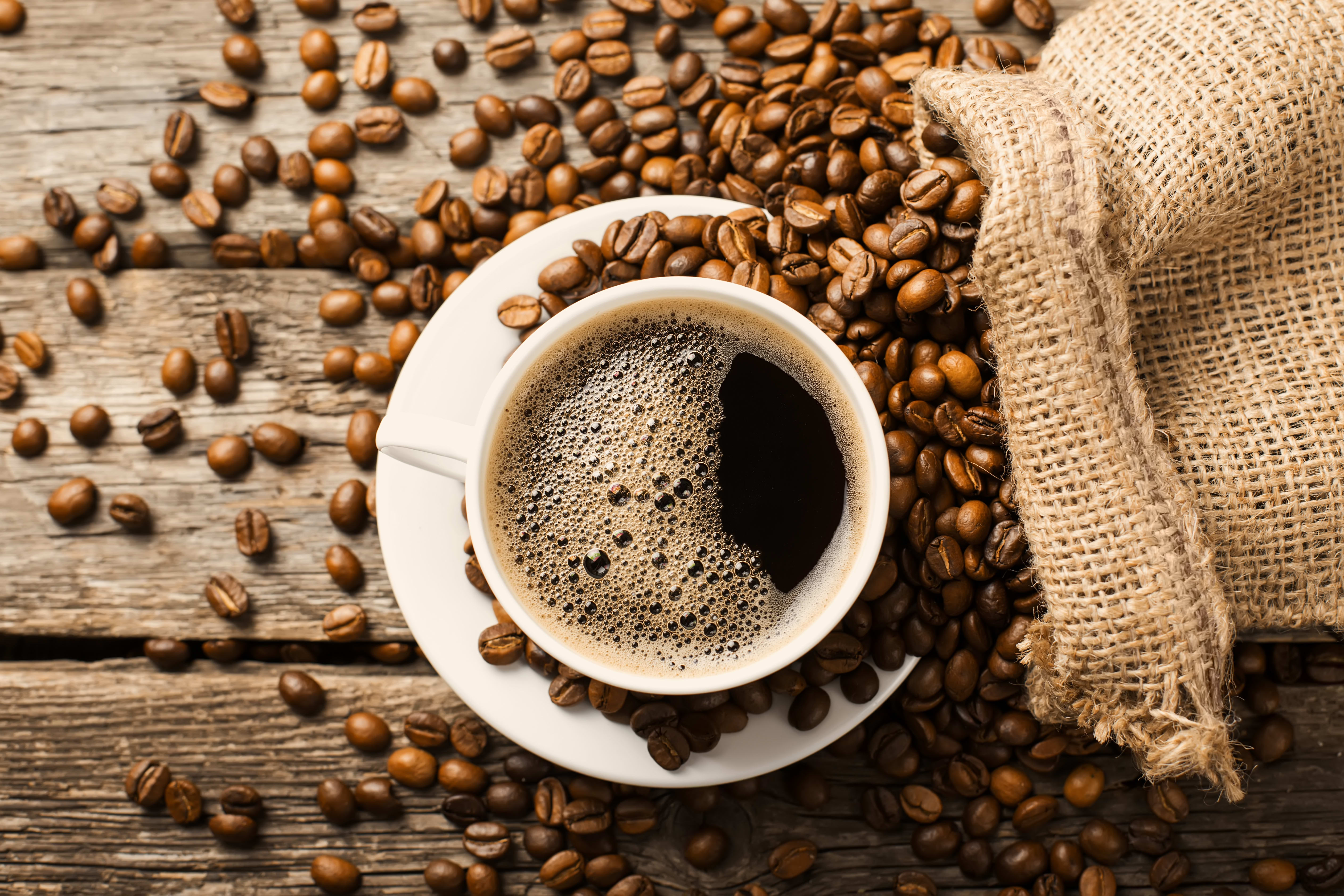 Brew Buzz - Logo