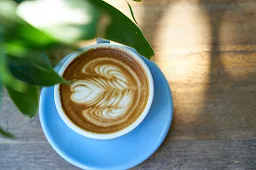 Brew Coffee Culture - Logo
