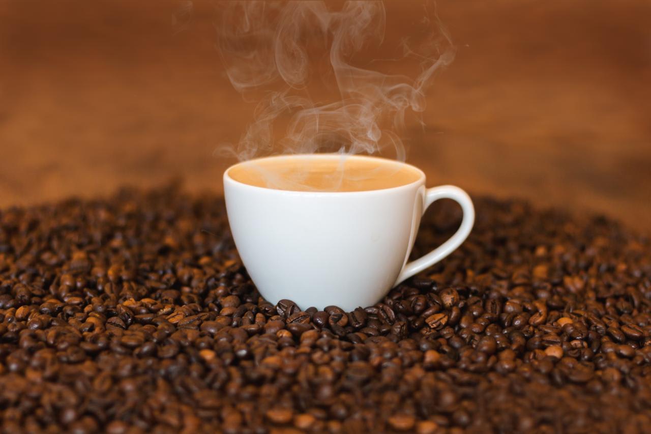 Brewing Bistro - Logo
