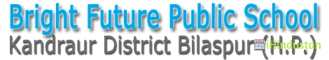 Bright Future Public School - Logo