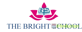 Bright School - Logo