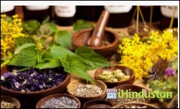 Brij Homoeopathic Clinic & Stores - Logo