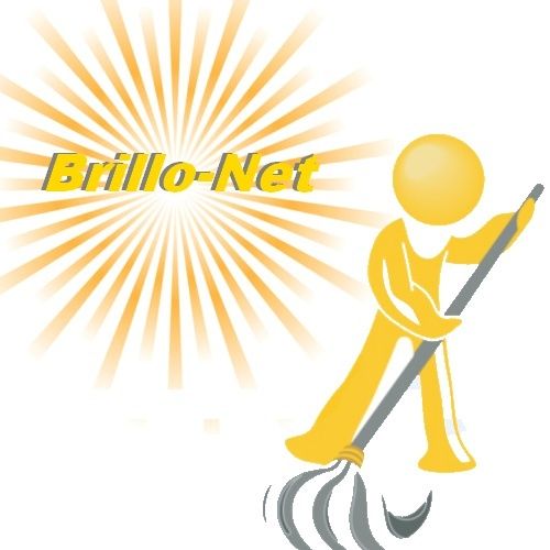 Brillo-Net - Logo