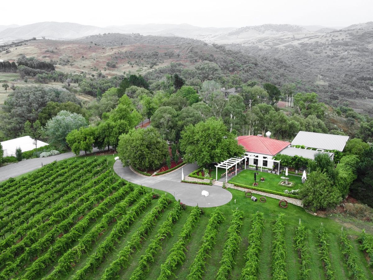 Brindabella Hills Winery - Logo
