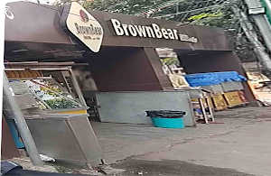 Brownbear - Logo