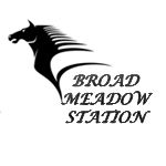 Broad Meadow Station - Logo