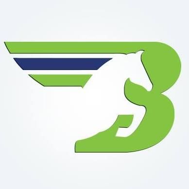 Bronco Transportation Systems Inc. - Logo