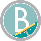 Broomberg Cleaning Service Pvt Ltd - Logo