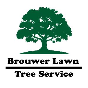 Brouwer Lawn Tree Service - Logo