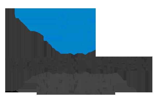 Brown Town Septic - Logo