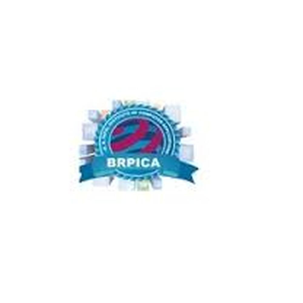 B.R. Patel Institute of Computer Application (BRPICA) - Logo
