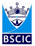 Bscic Certifications Pvt Ltd - Logo