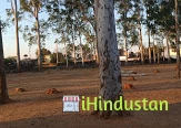 B.s. college lohardaga - Logo