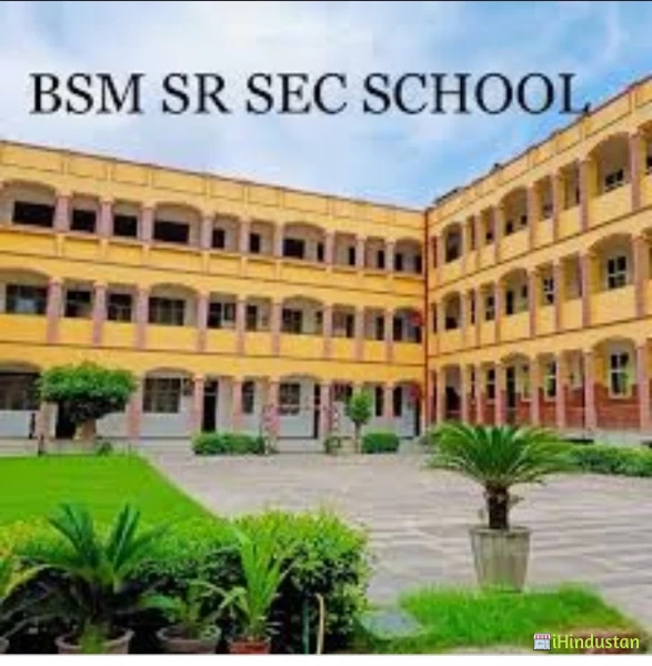 BSM Public Senior Secondary School - Logo
