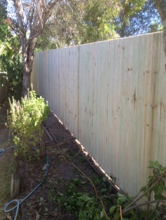 Buderim Fencing - Logo