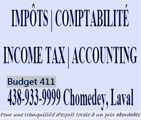 Budget 411 - Logo