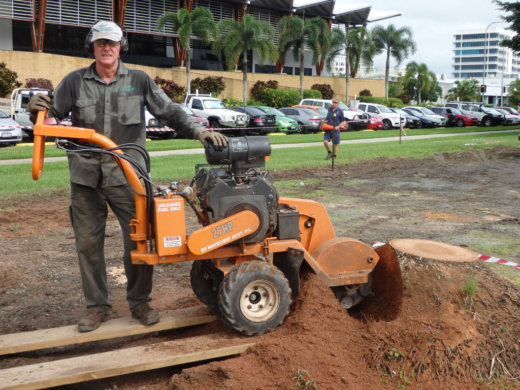 Budget Stump Grinding - Logo