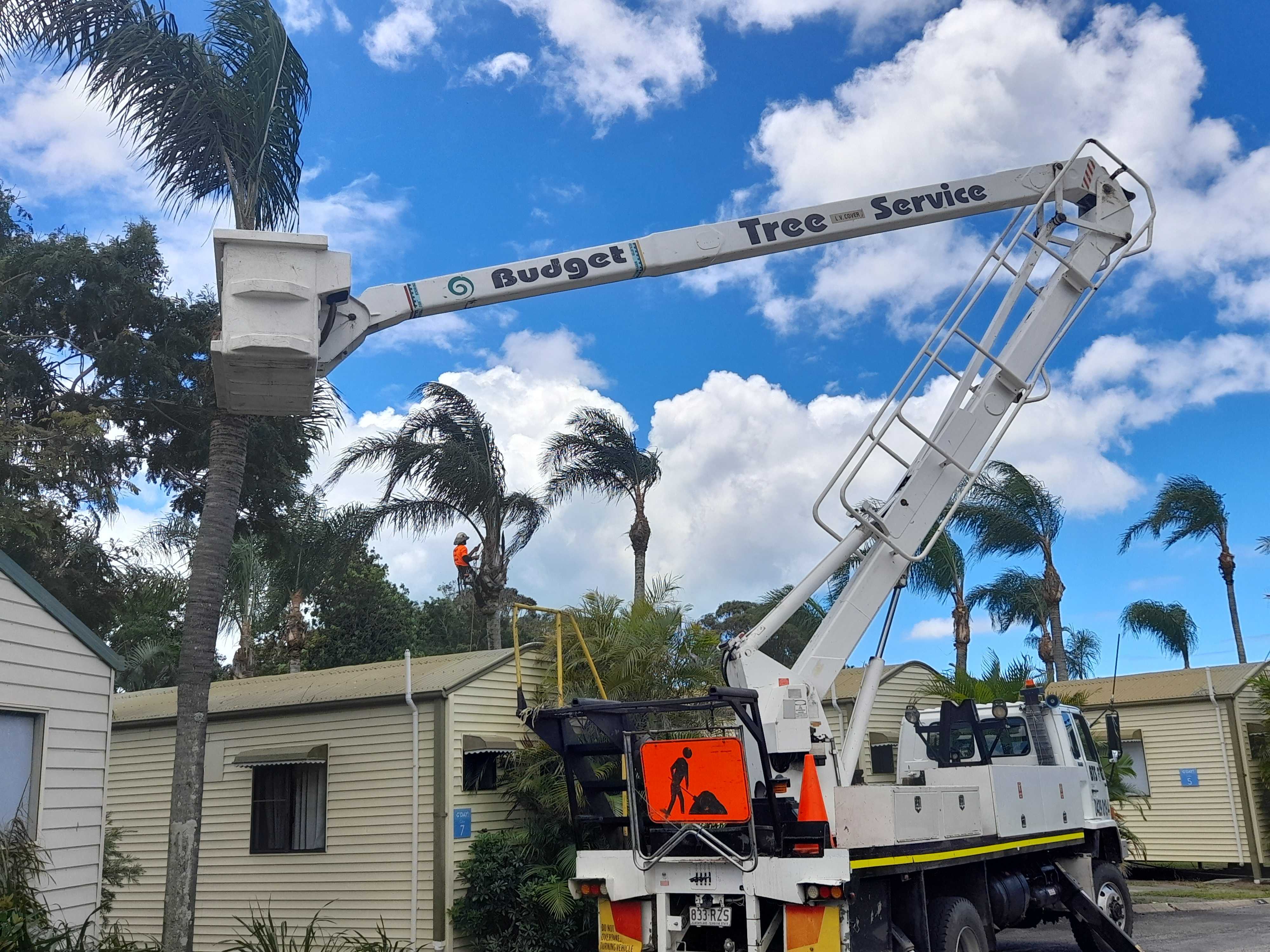 Budget Tree Service QLD - Logo