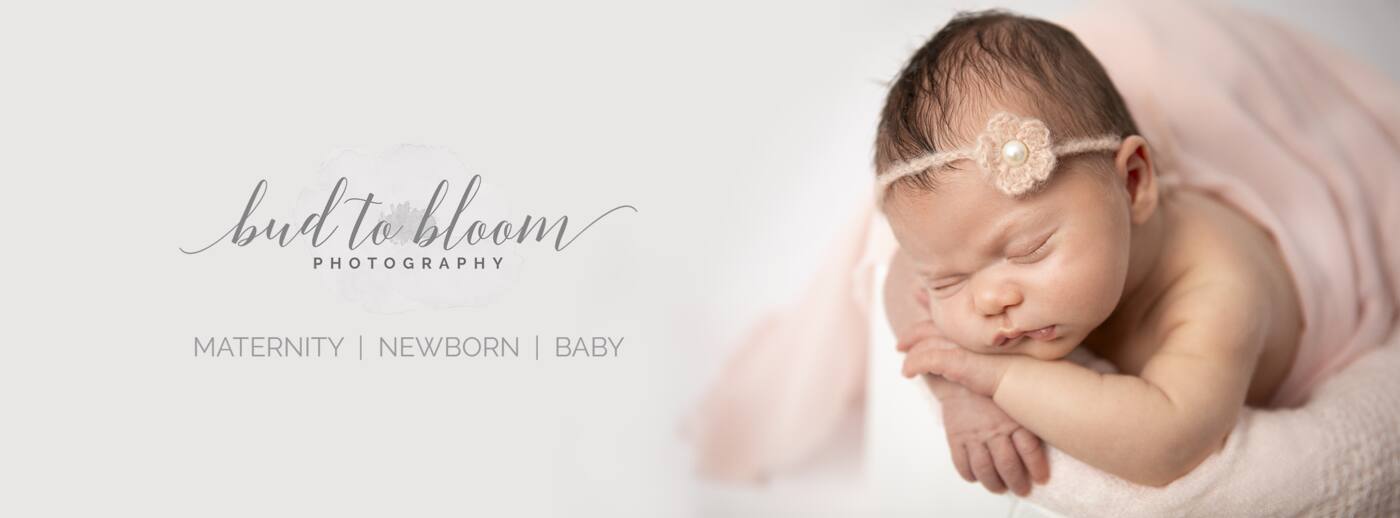 Bud To Bloom Photography - Logo