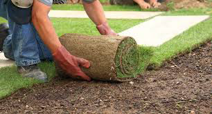 Buffalo Turf Supplies - Logo