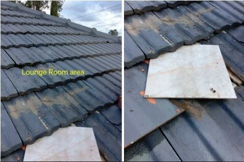 Building and Pest Inspections Bendigo - Logo