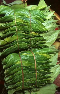 Bujji Pan Shop - Cover photo