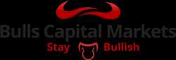 Bulls Capital Markets 270267 - Logo