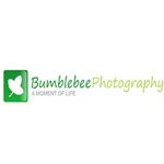 Bumblebee Photography - Logo