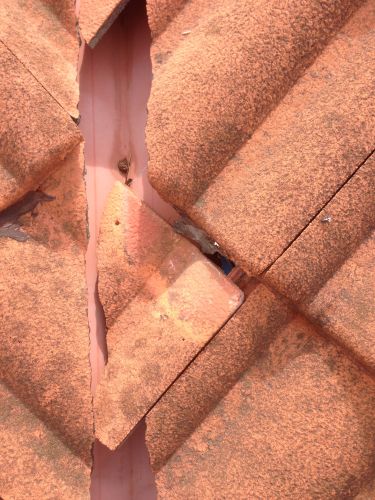 Bundaberg Building & Pest Inspections - Cover photo