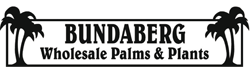 Bundaberg Wholesale Palms & Plants - Logo