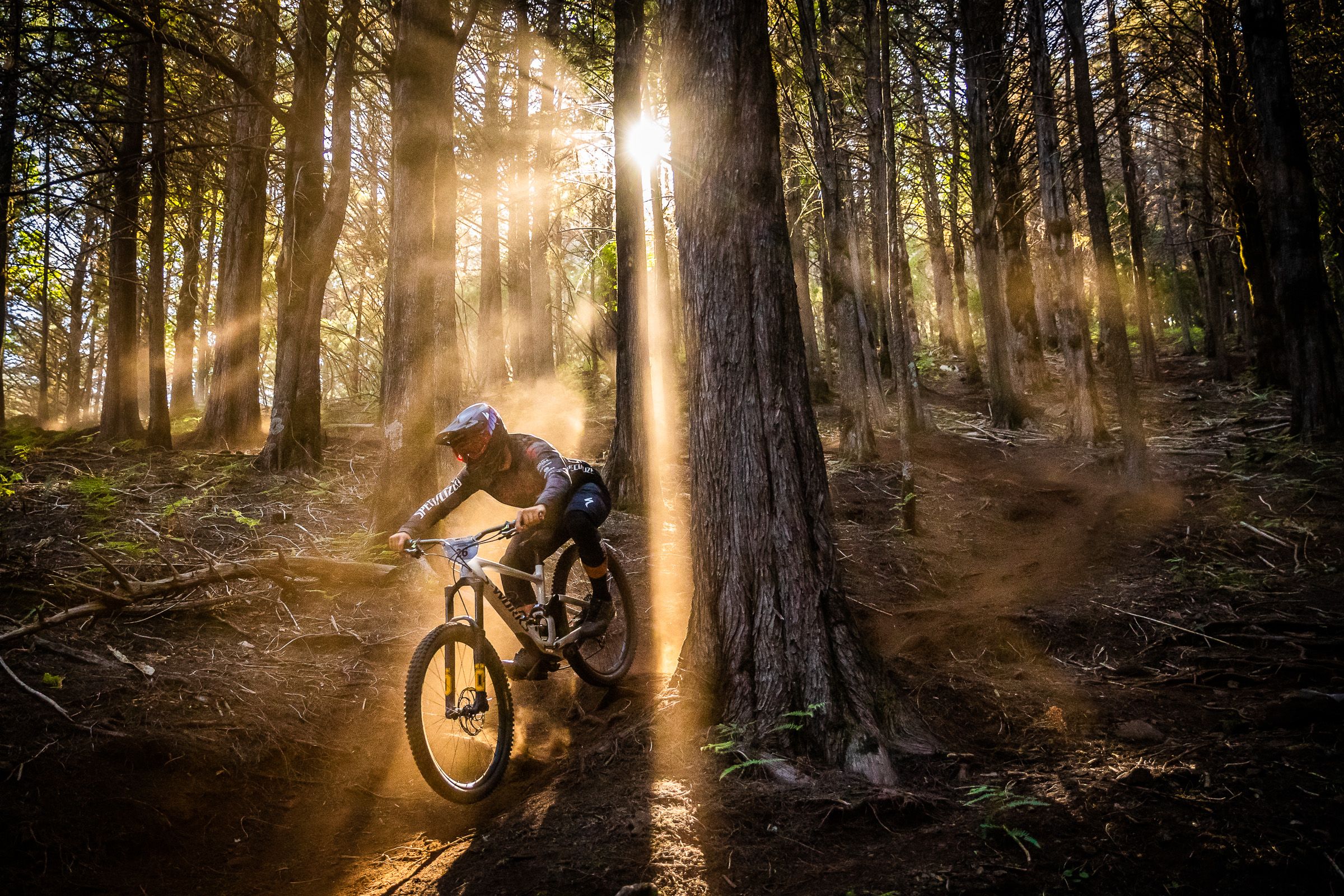 Bundy Bikes - Logo