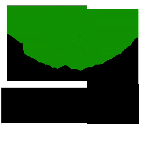 Bureau De Change Alto - Logo