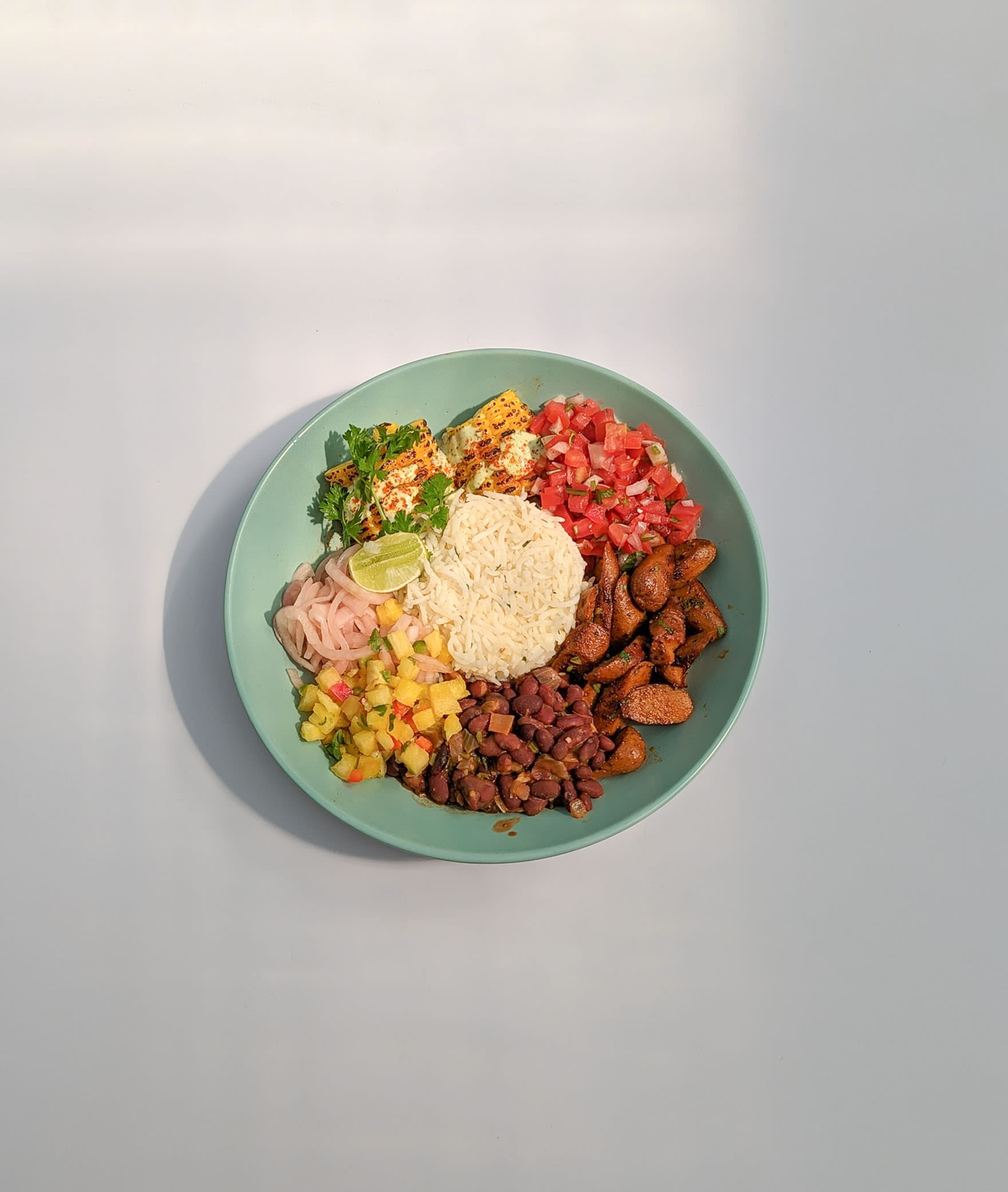 Burrito Bowls Inc - Logo