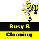 Busy B Cleaning - Logo