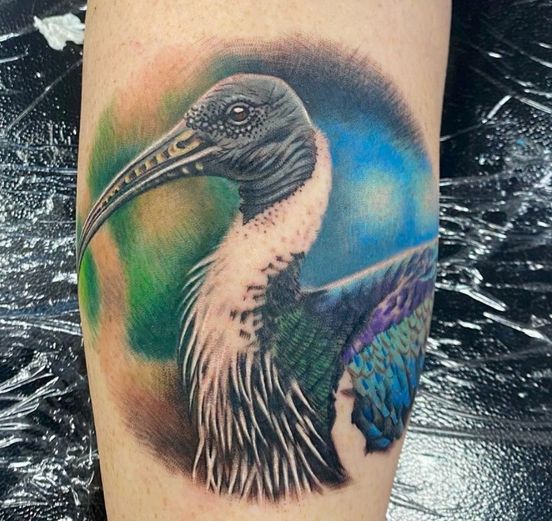 Cairns City Tattoo - Cover photo