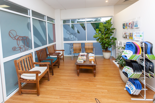 Cairns Innovative Physiotherapy - Logo