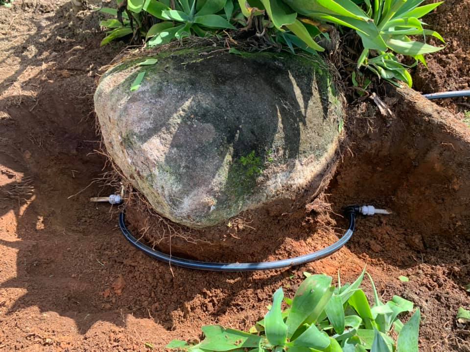 Cairns Leak Detection - Logo