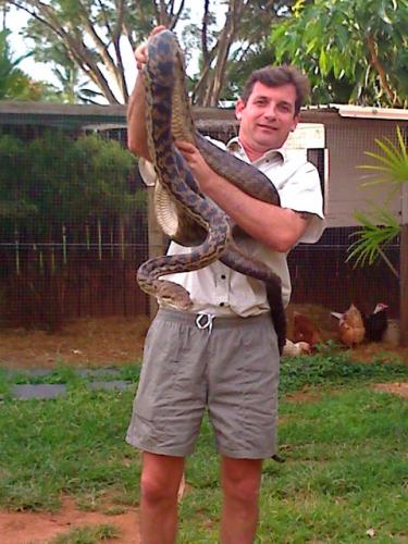 Cairns Snake Removals - Cover photo